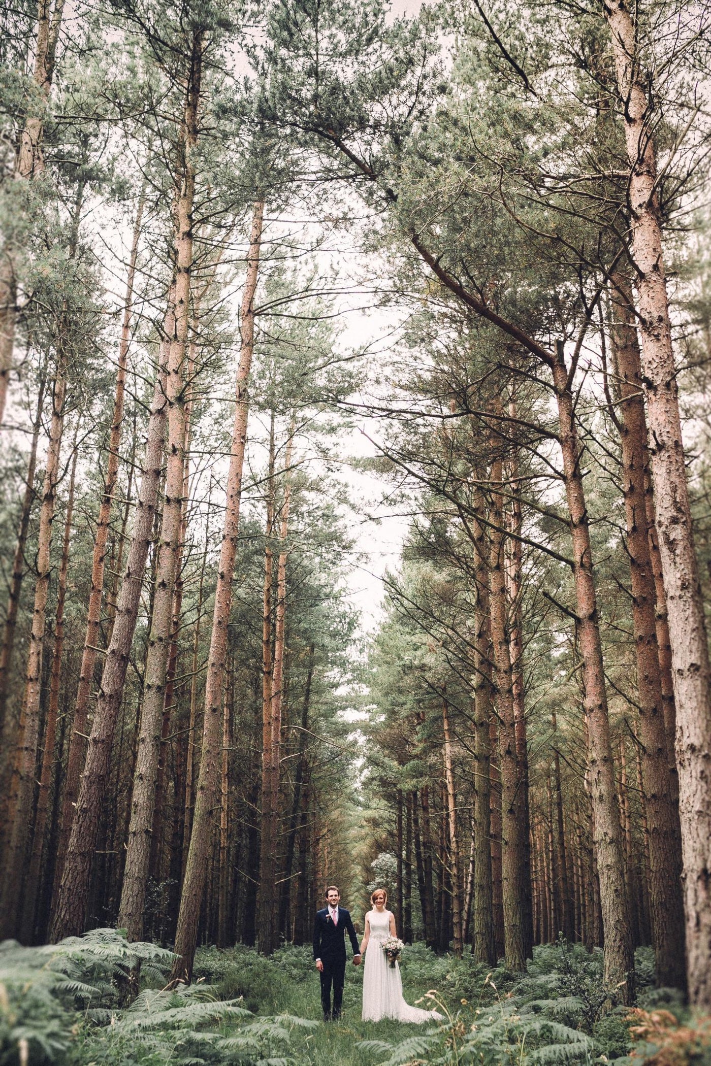 Woody Fragrances