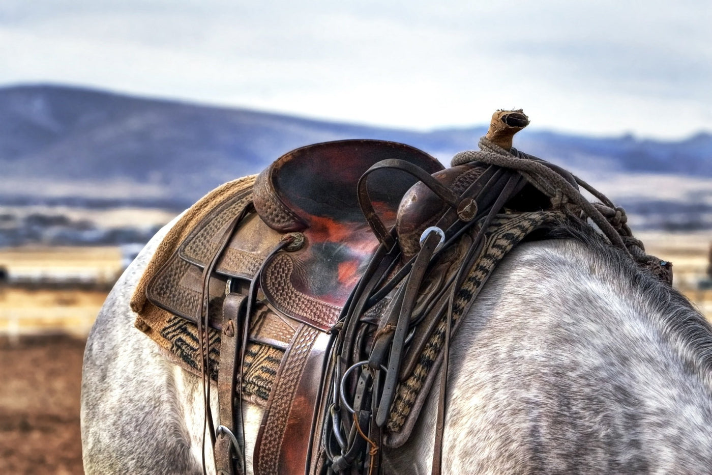 Texas Cowboy Leather + Cedar